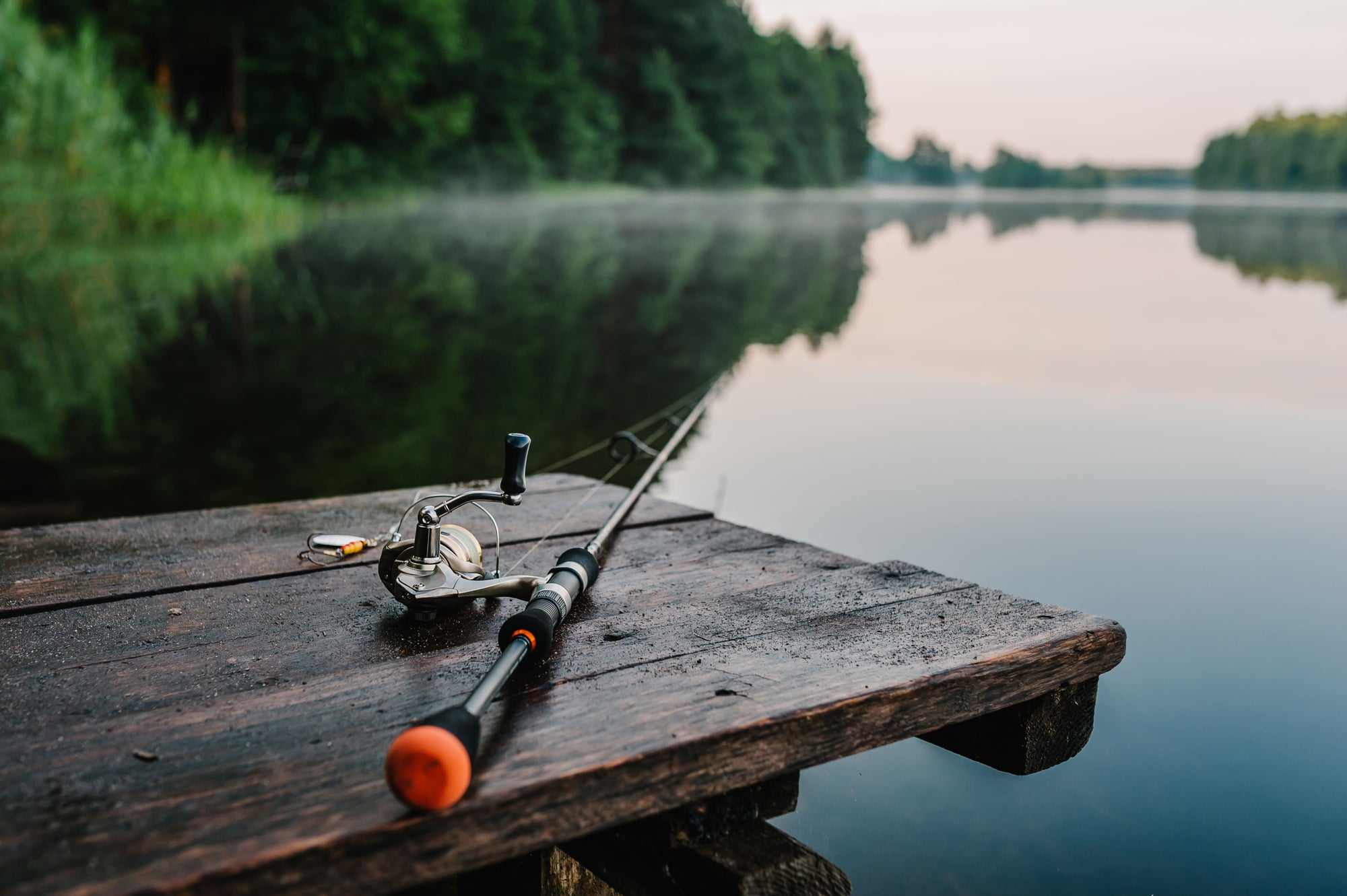 Choosing The Perfect Rod