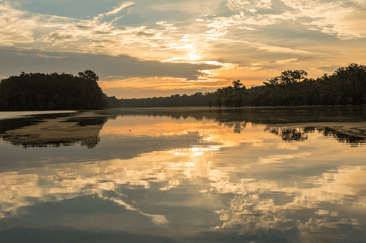Fishing in Alabama Lakes