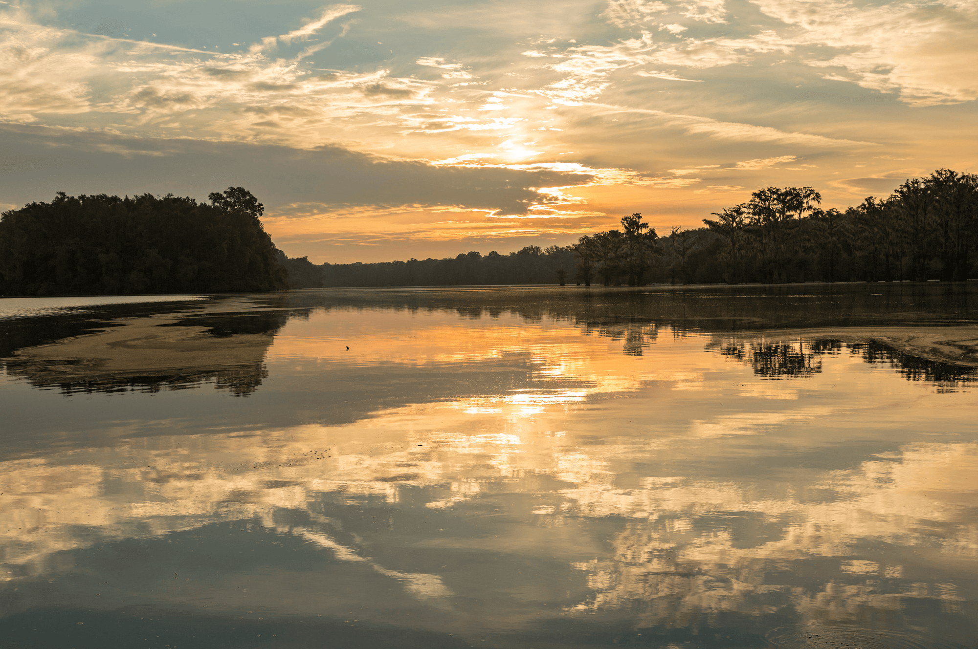 Fishing in Alabama Lakes
