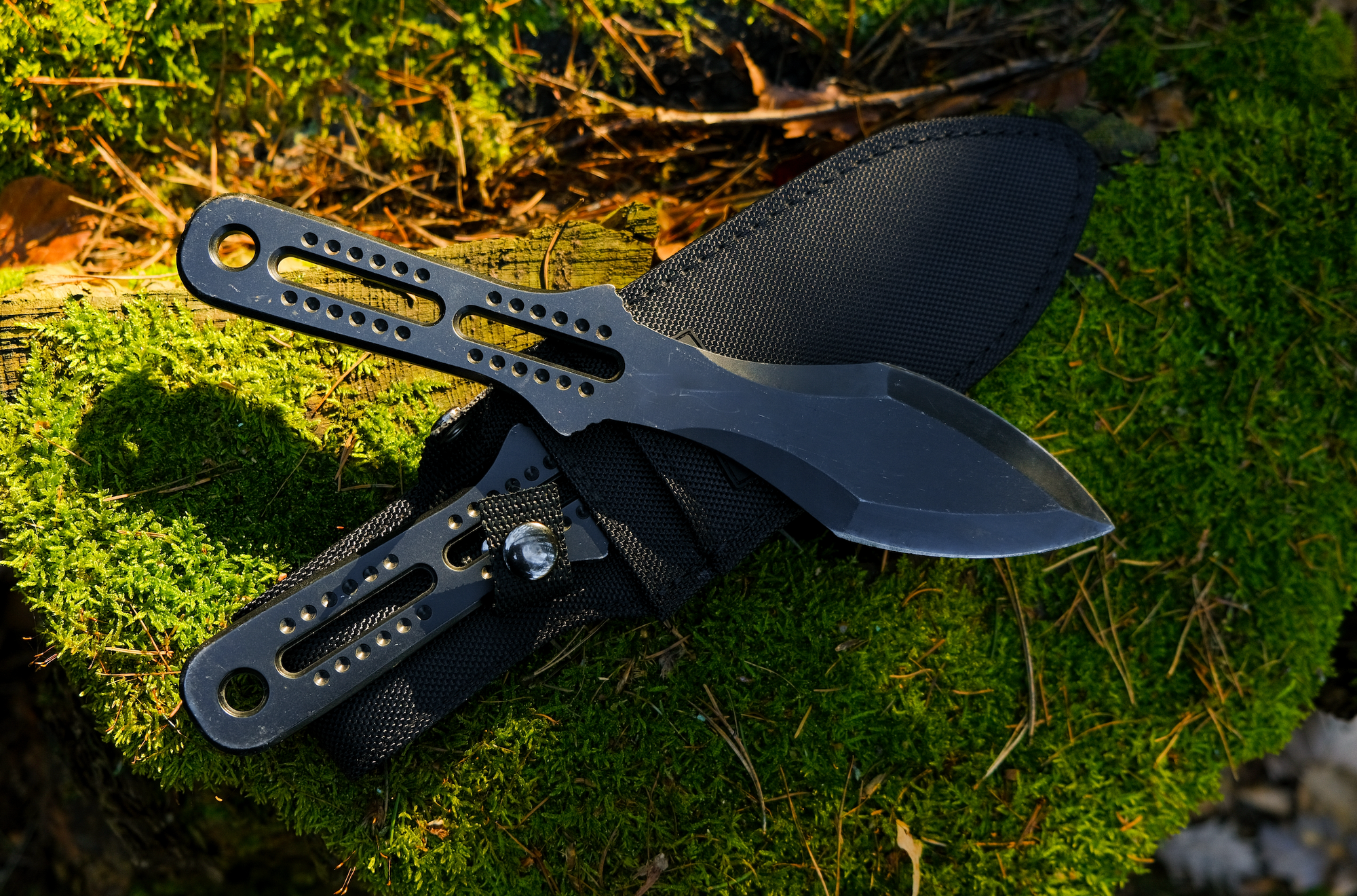 Throwing Knives: A Fascinating Journey Through History
