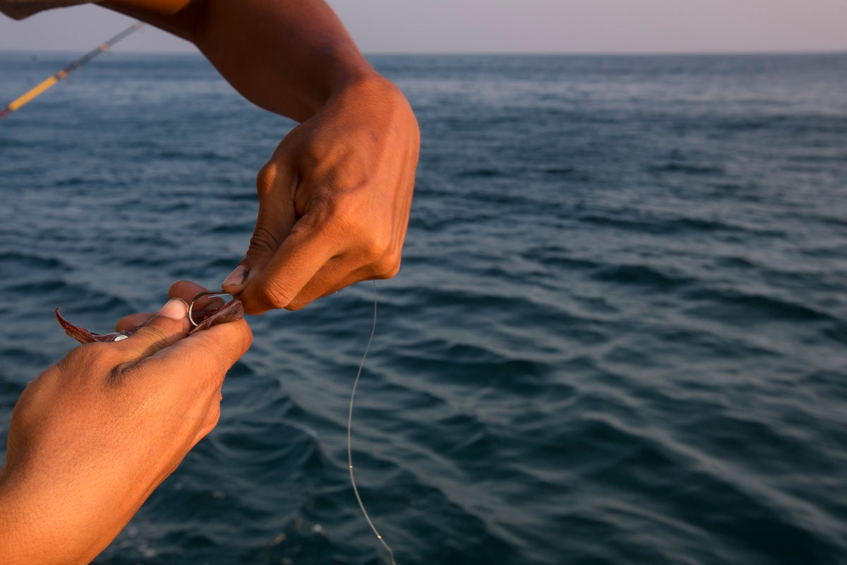 Everything You Need to Know About Bait 