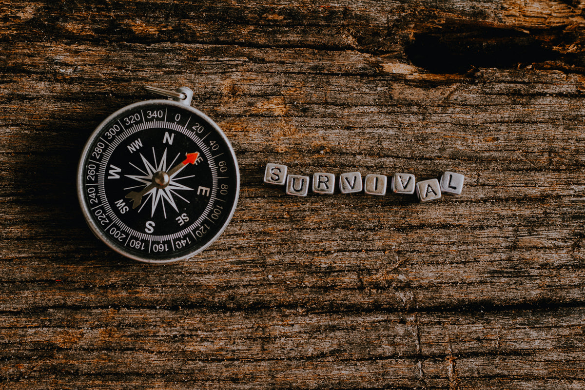 Once I get a compass, how do I use it?