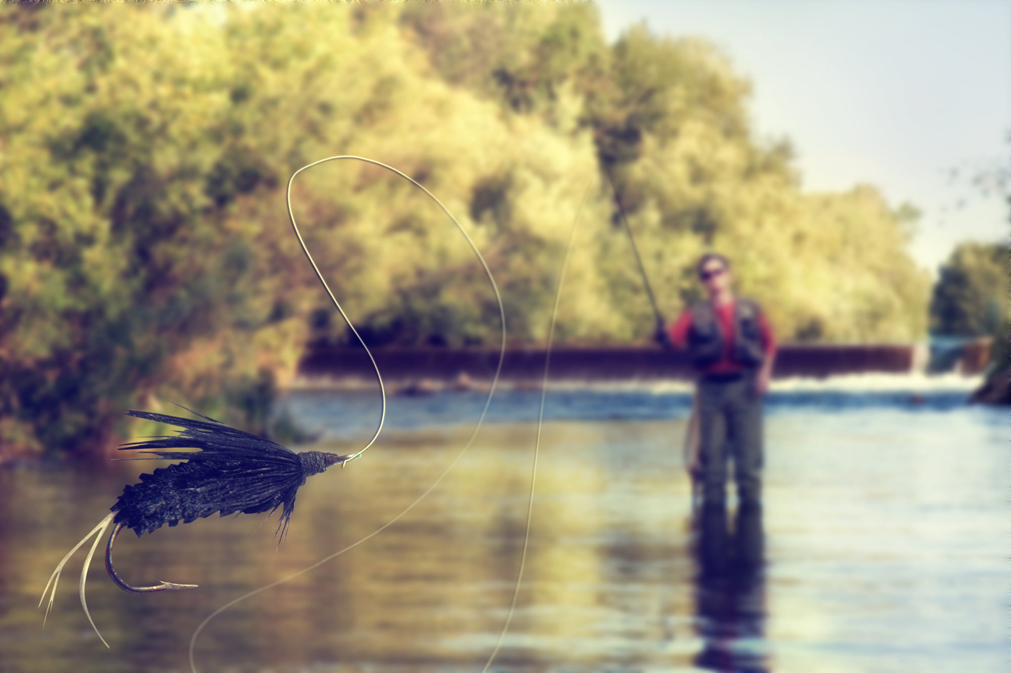 Fly Fishing: A Comprehensive Guide for Beginners