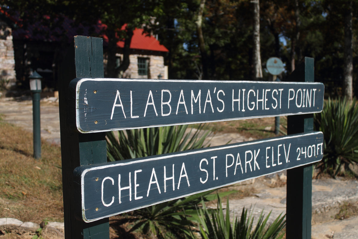 Outdoor Fun at Alabama’s Highest Peak - Mt. Cheaha