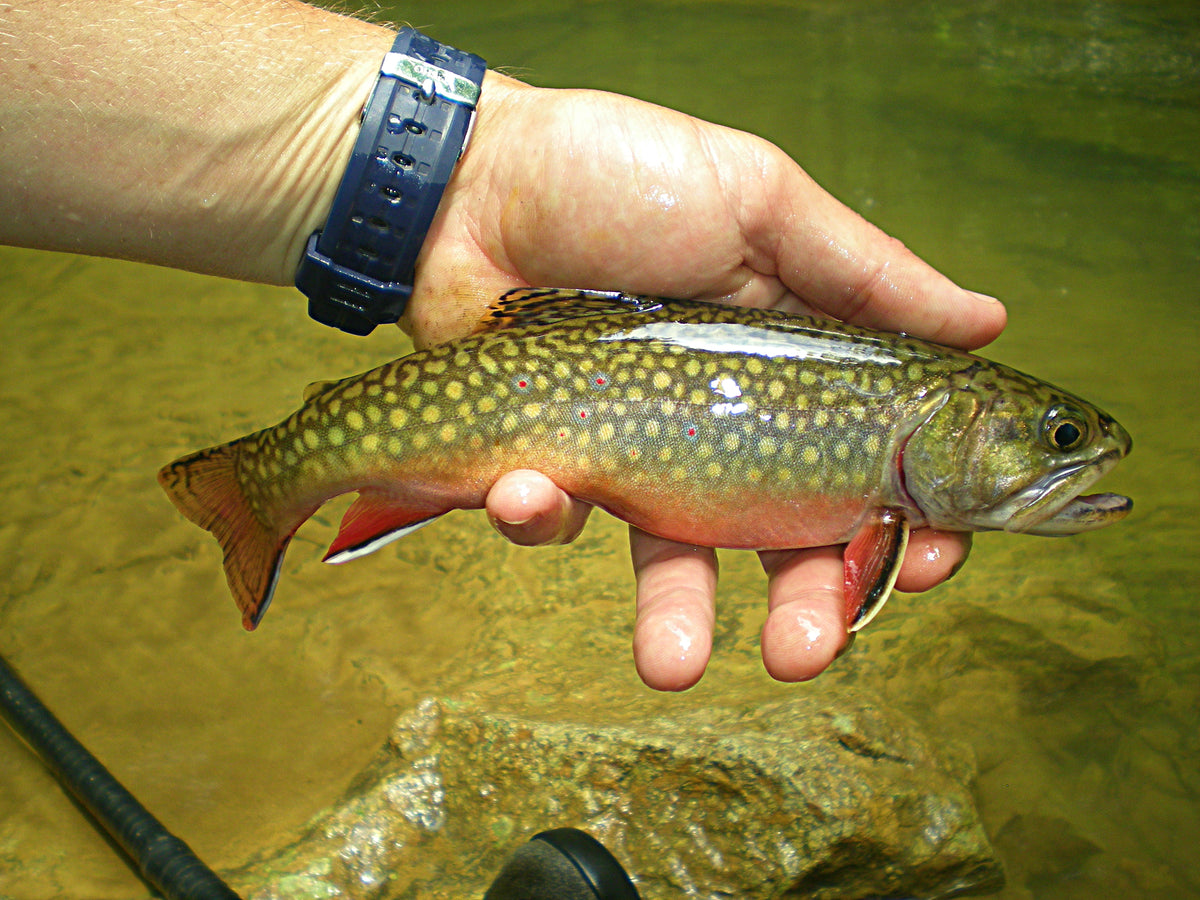 Popular Fishing Destinations in the United States