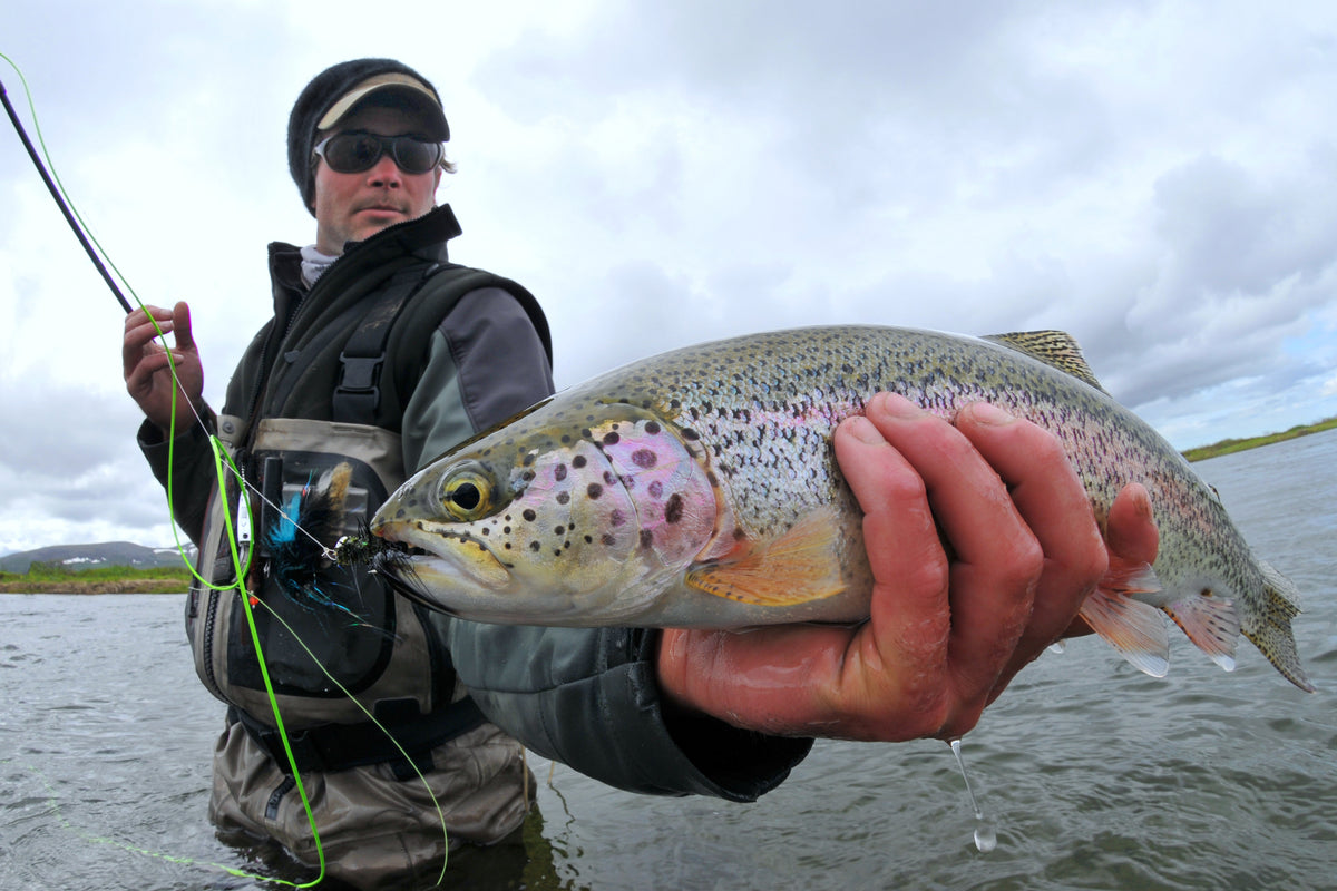 Angler's Paradise: The Ultimate Guide to Fishing in Alaska