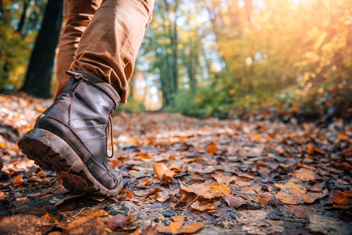 What are the different types of Hiking boots?