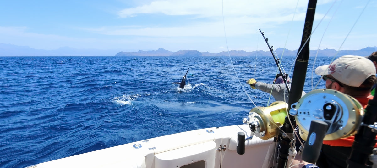 What to Know about Fishing in the Gulf of Mexico