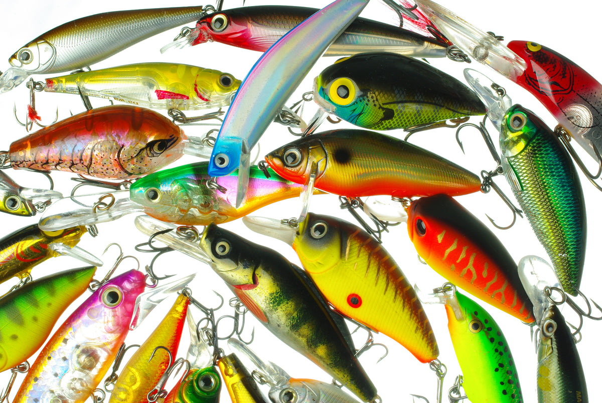 What are the different kinds of Bass Lures?